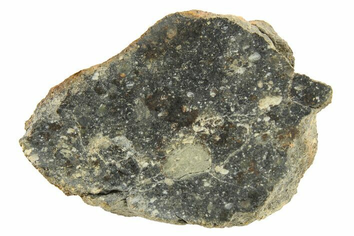 Polished Howardite Meteorite Section ( g) - Bechar #286920